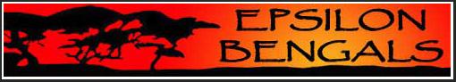 Epsilon Bengals